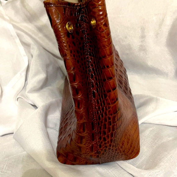 Brahmin - Picture 3 of 9